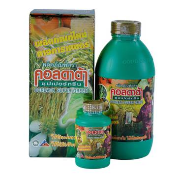 Cordata Super Green