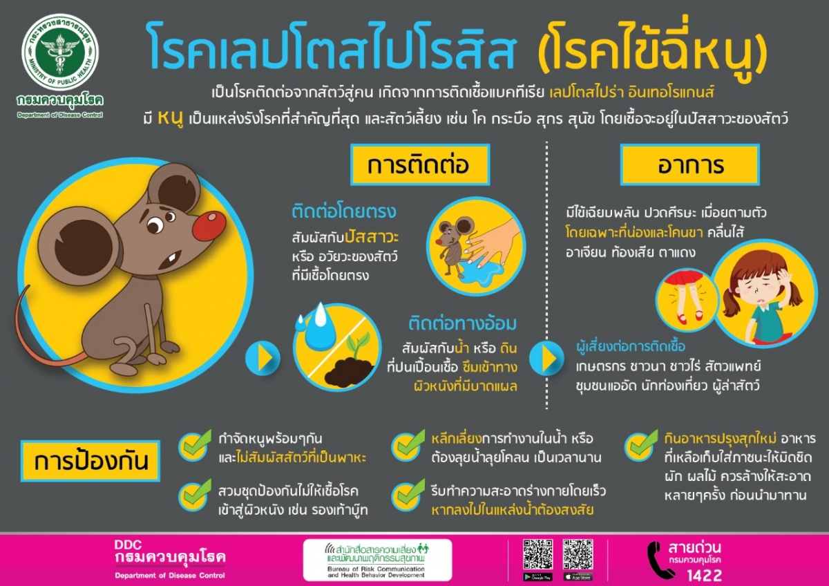 ฉี่หนู